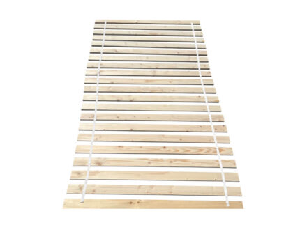 Somiera roluita, GLOBAL354